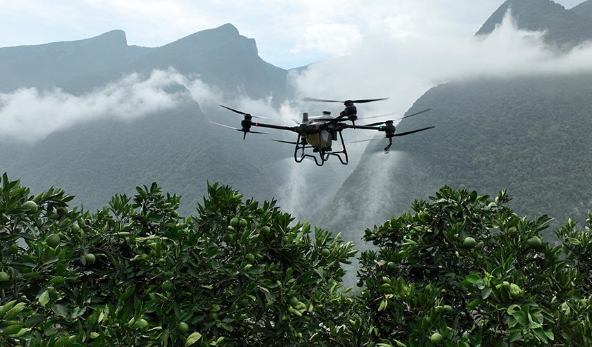 tarım dron kullanımı