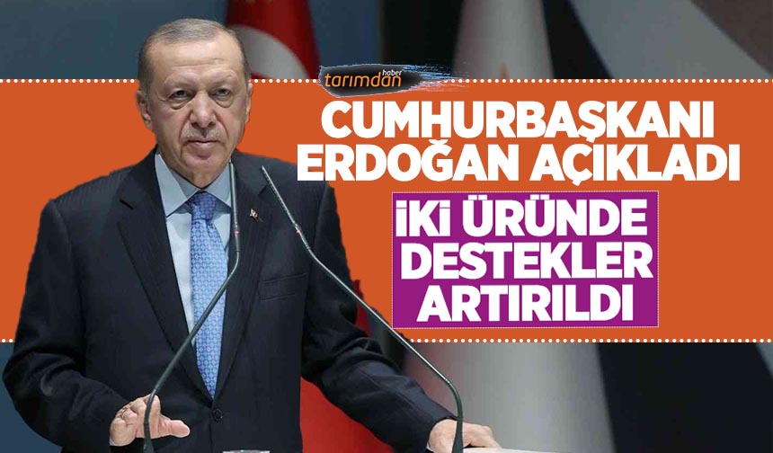 Cumhurbaşkanı Erdoğan, Şanlıurfa’da yaptığı açıklamada iki üründe destek miktarının artırıldığını açıkladı. 