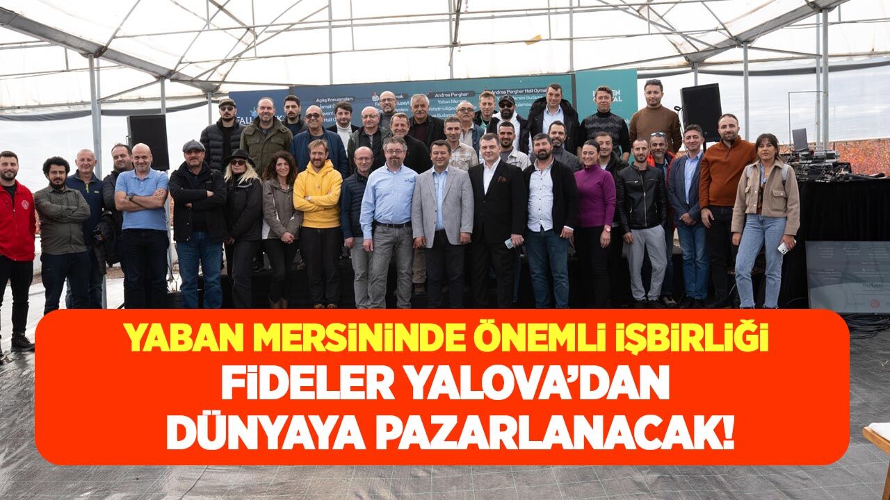 Yaban mersini yetiştiriciliğinde Alova Farm ABD'li firma ile iş birliğine gitti! Fideler Yalova'dan dünyaya pazarlanacak