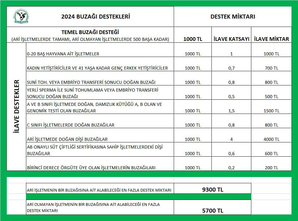 Buzağı Desteği-3