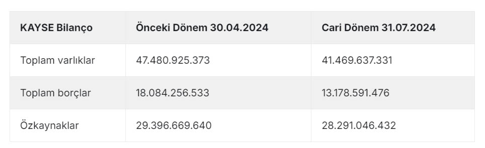 Şirket1