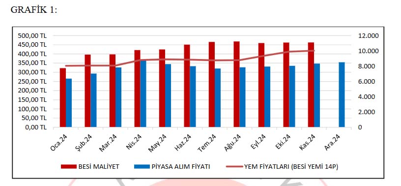 Yem Besi Maliyeti