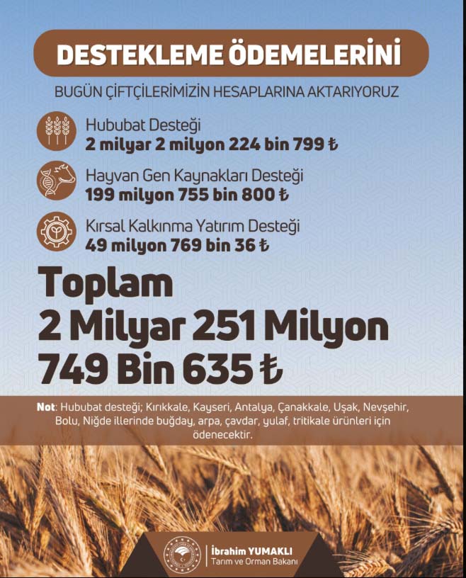 Destek Ödemesi-31