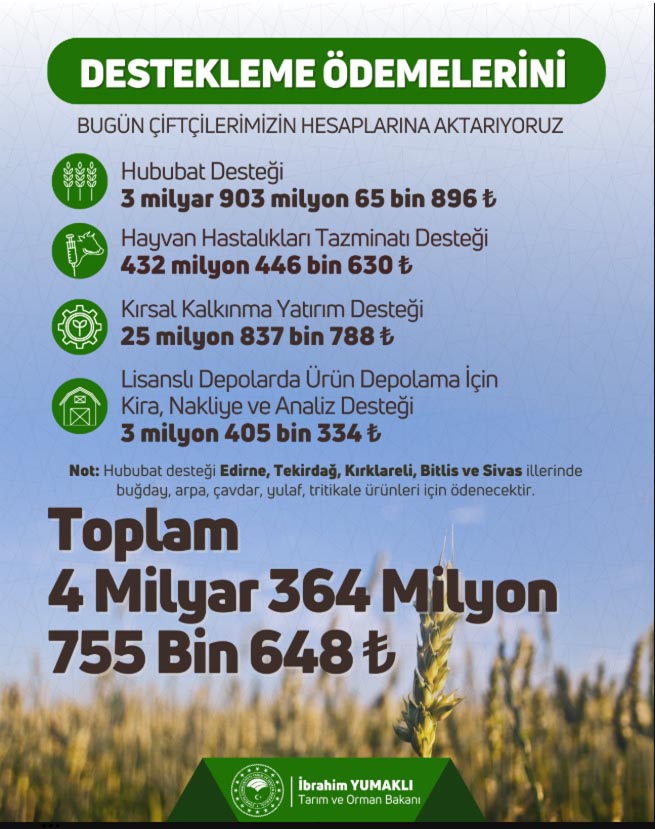 Destek Ödemesi-32