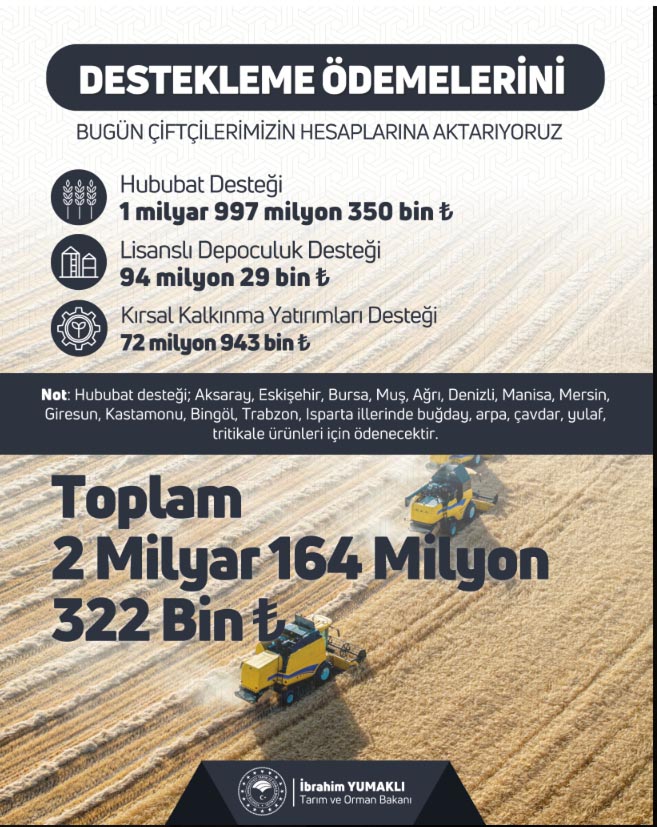Destek Yumaklı