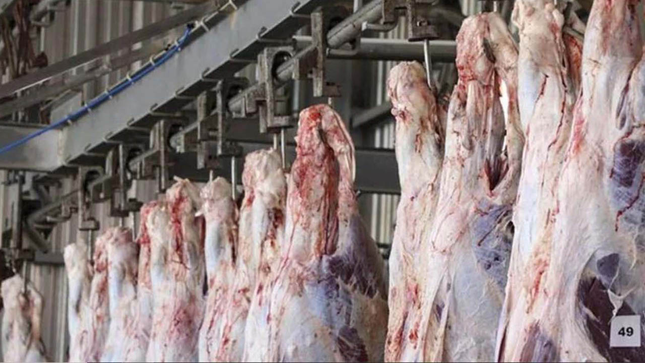 Evet, üretici zarar etmemeli