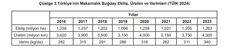 Makarnalık Buğday-6