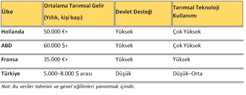 Fotoğraf