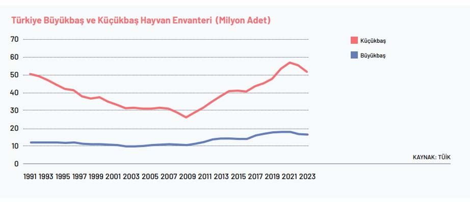 Hayvancılık Raporu-1