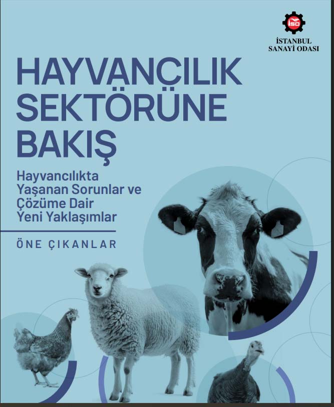 Hayvancılık Raporu