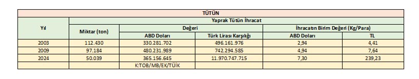 Tütün Dosyası