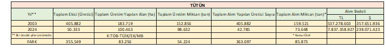 Tütün Üretimi