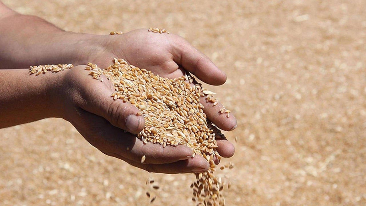 Hububat Fiyatları Eylül 2025