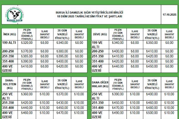 Damızlık Birliği Et Kesim Fiyatı