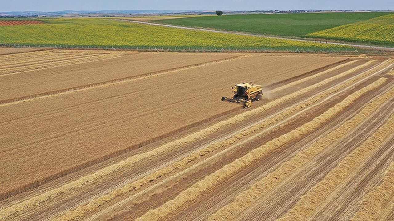 Ekilmeyen tarım arazisine kira geliri: Mersin’de tek parsel 14 bin TL