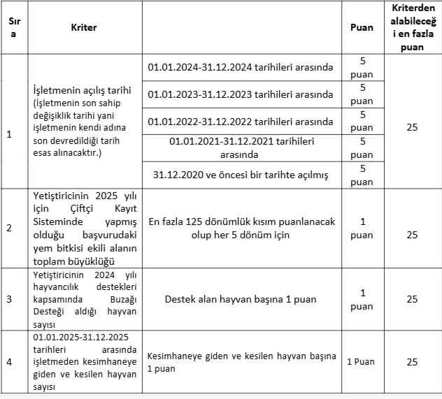 Besilik Ithalat Küçük Işletme Kriter