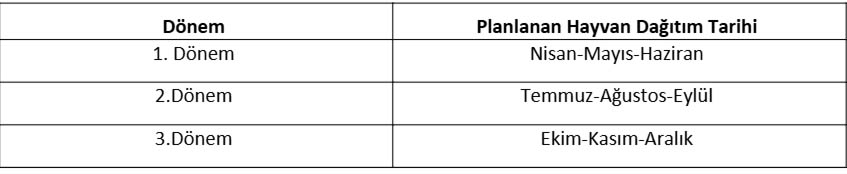 Sığır Ithalatı Başvuru