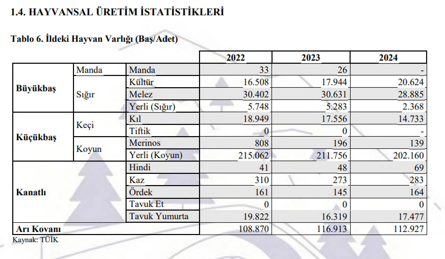 Artvin Hayvansal Üretim