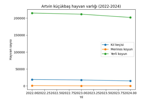 Artvin Küçükbaşhayvancılık