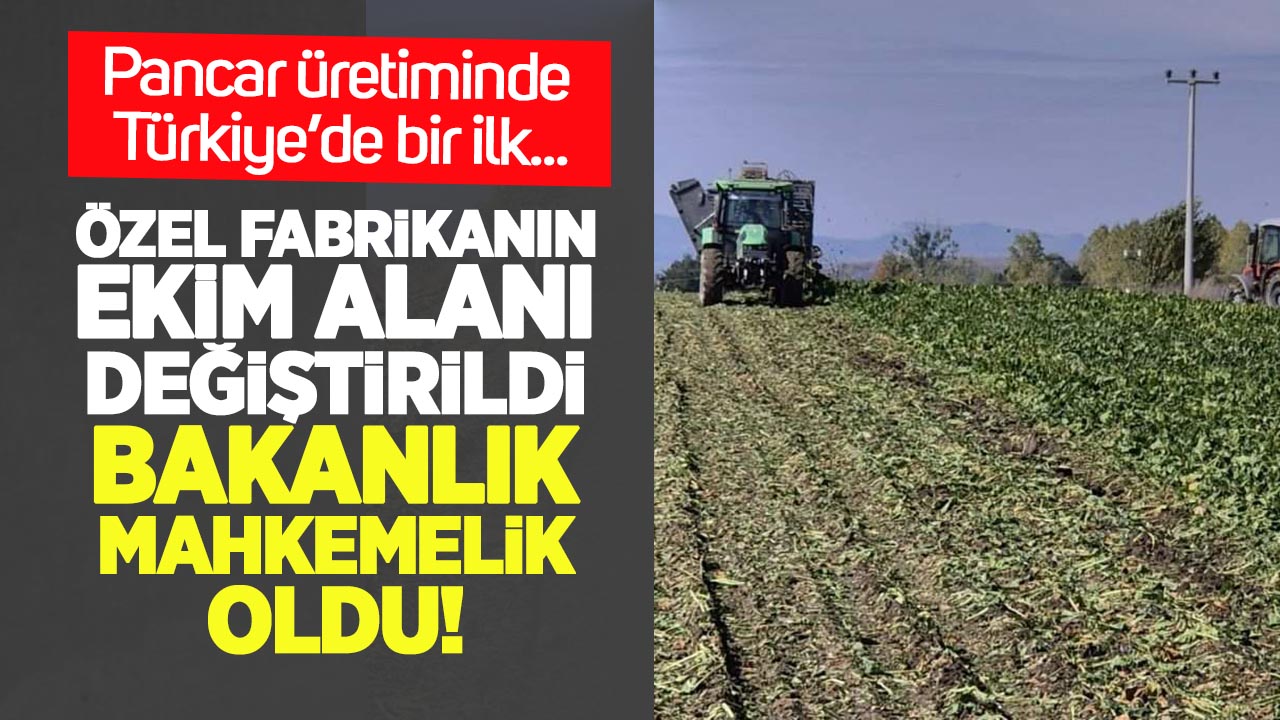 Pancar Ekim Alanı Mahkemelik