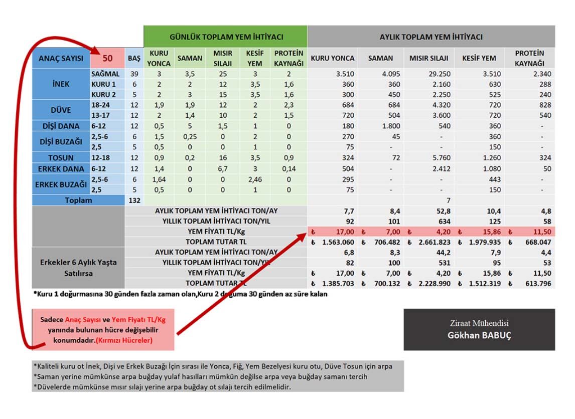 Amasya Dsyb Buyukbas Yem Maliyeti Hesaplama Tablosu