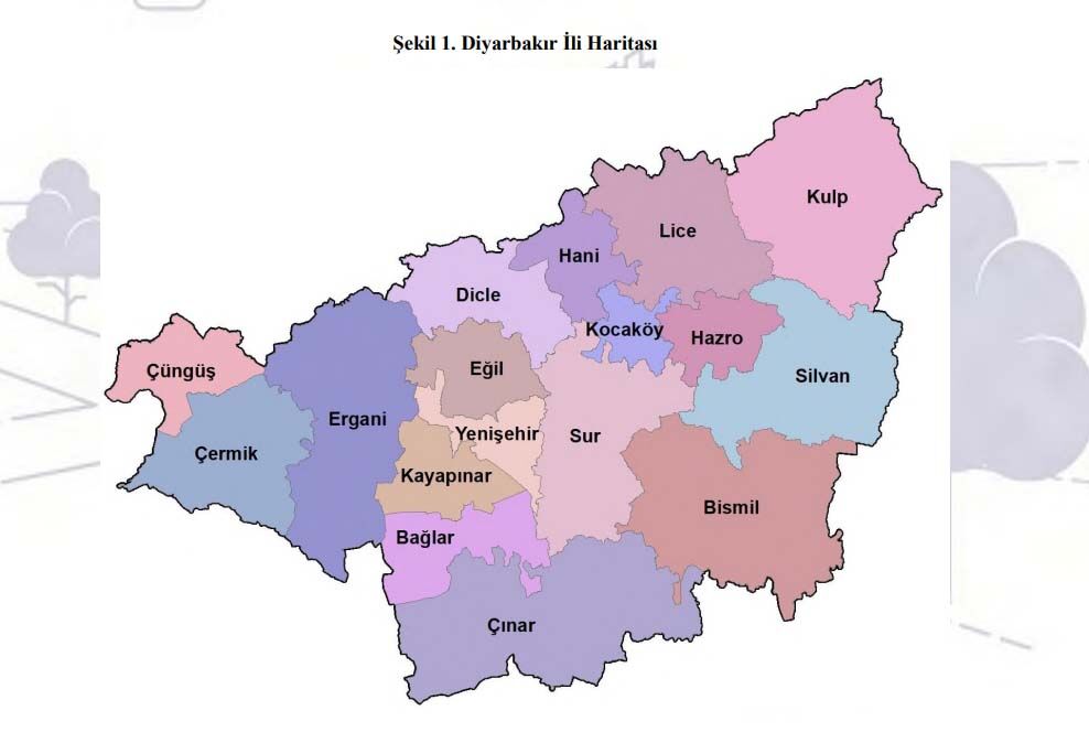 Diyarbakır Havza Haritası