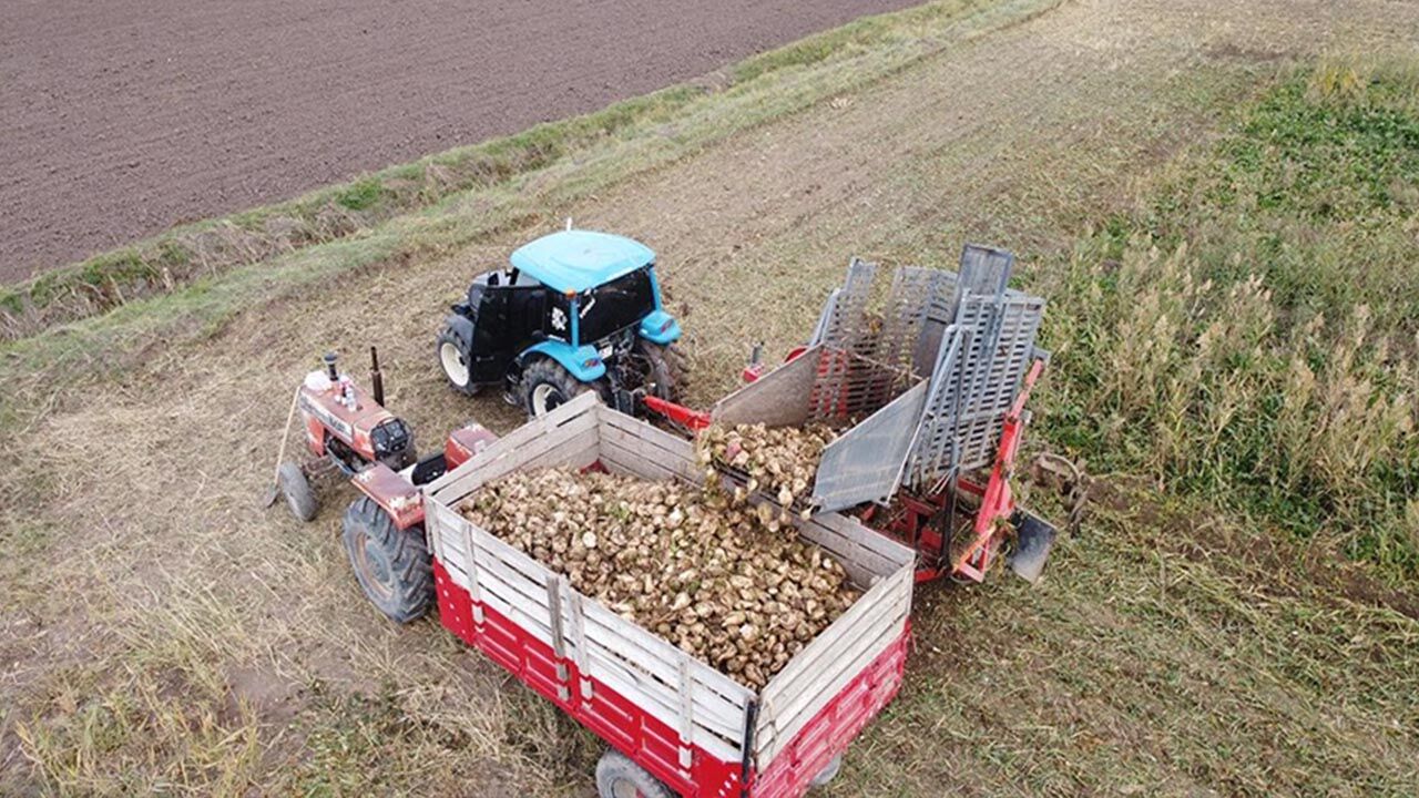Şeker Kanunu Kaçak Pancar