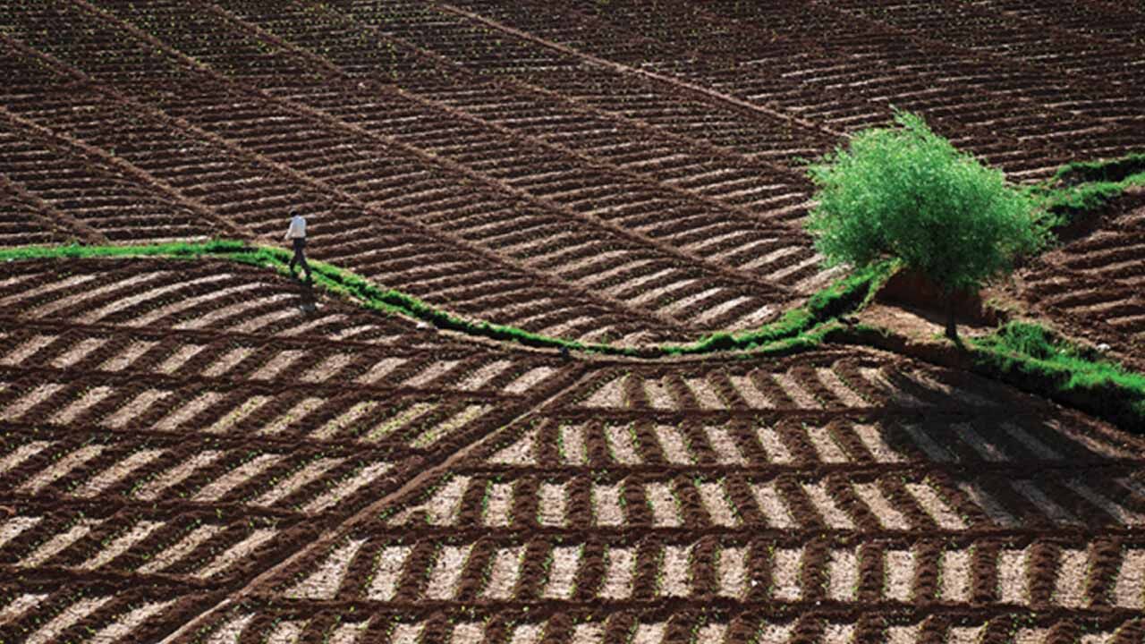 Tarım Arazilerinde Yeni Yönetmelik