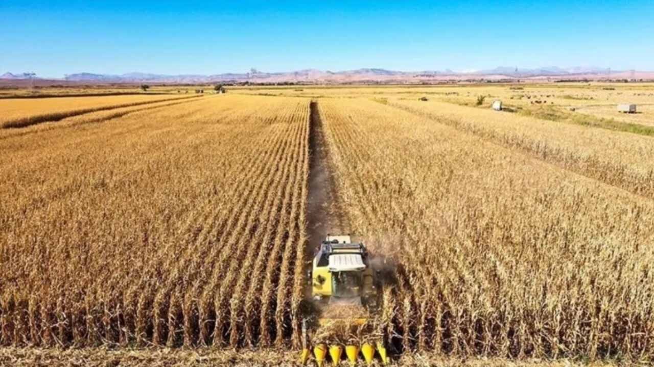 Tarım Hibe Destekleri