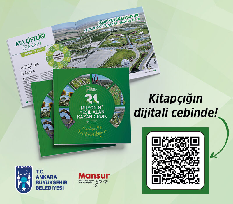 Reklam Bloğu