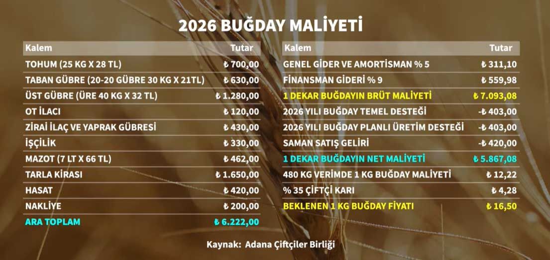 Adana Ciftciler Birliği 2026 Bugday Maliyeti