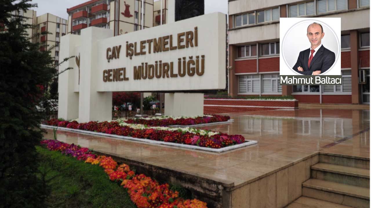 ÇAYKUR’dan Rizeli çay çiftçisine şok dava! "Hakkımızı isteyince mahkemeye verdiler"