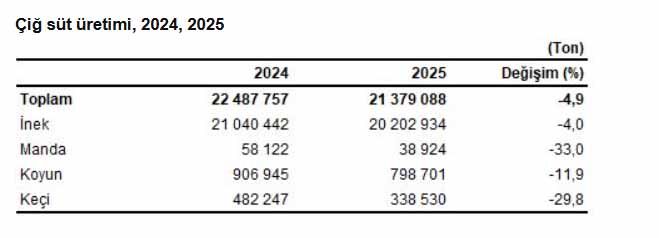 Cig Süt Üretimi 2025