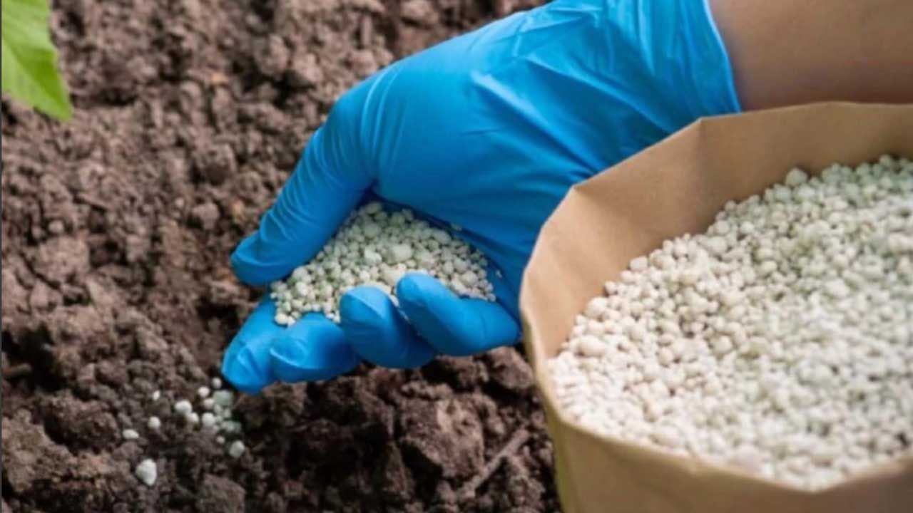 2026 gübre analiz ücretleri kaç TL oldu? İşte kimyasal ve organik gübre yeni fiyat listesi