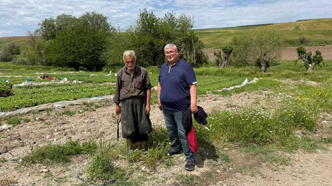 Kahta Ziraat Odasi Tutun