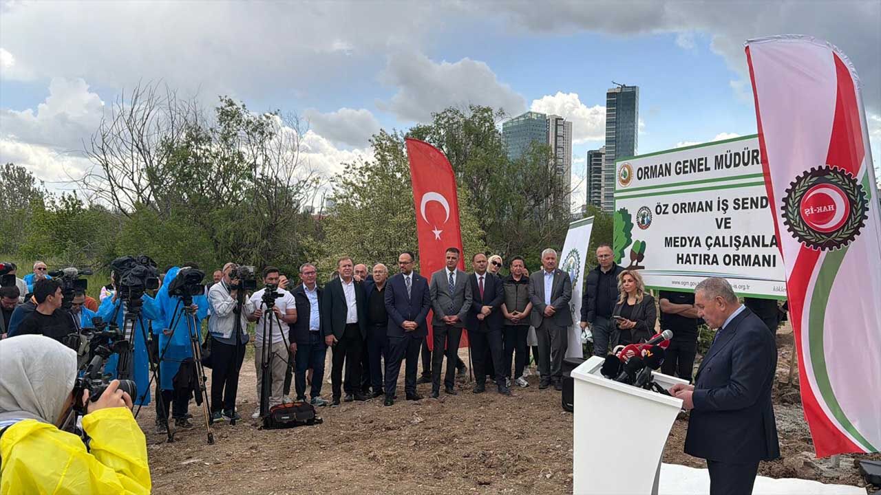 Öz Orman-İş’ten basın emekçilerine unutulmayacak jest: Artık onların da bir dikili ağacı var!