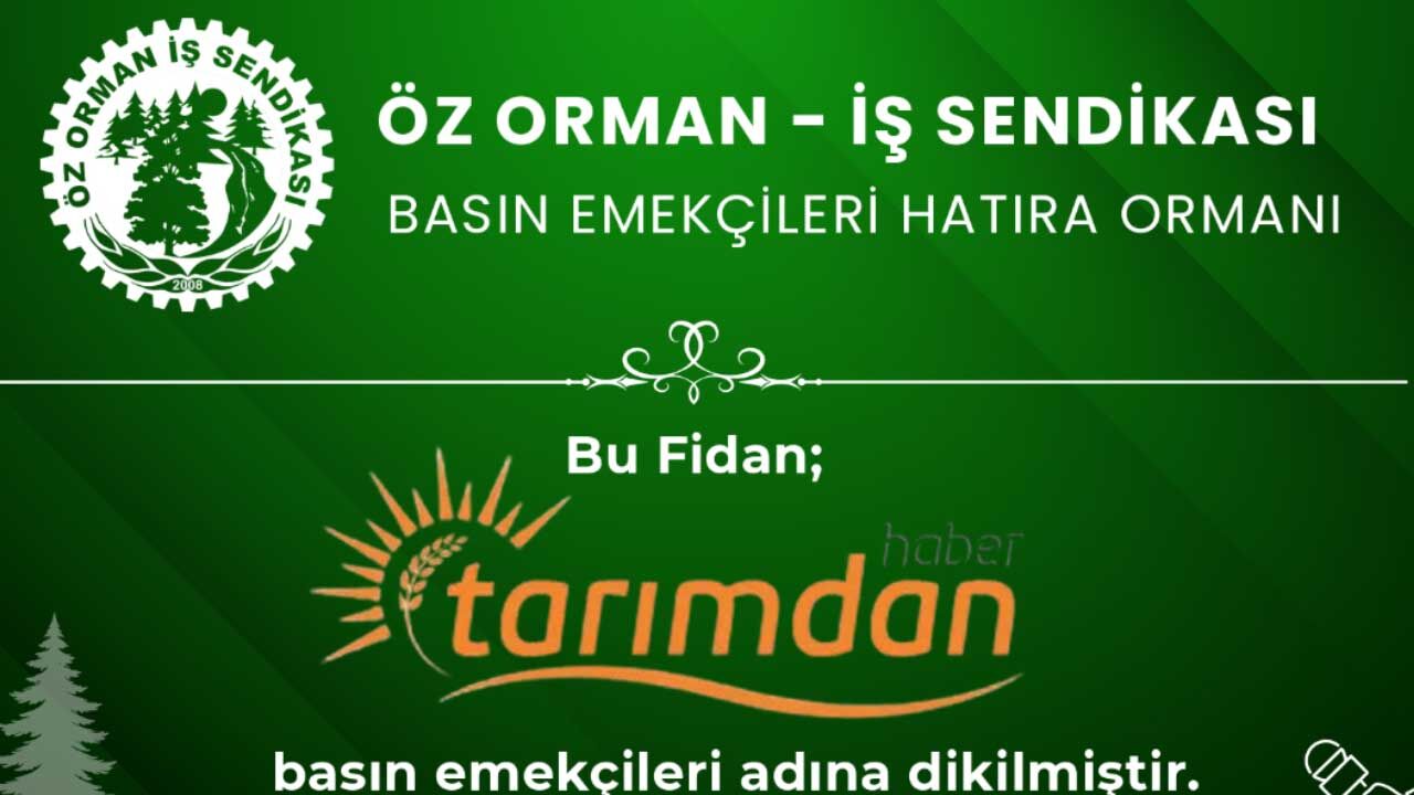 Tarimdanhaber Agac Dikimi