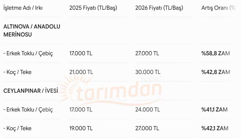 Tigem Koyun Keci Fiyatlari 2026