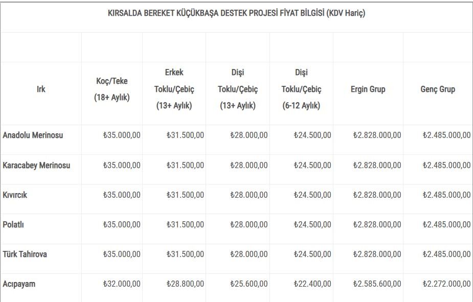 Kırsalda Bereket Koyun Fiyatlari