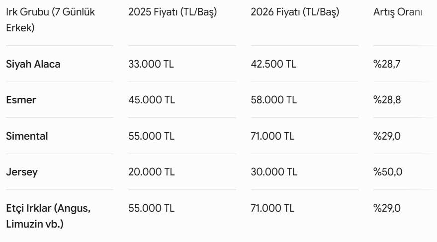 Tigem Buyukbas Hayvan Fiyatlari 2026