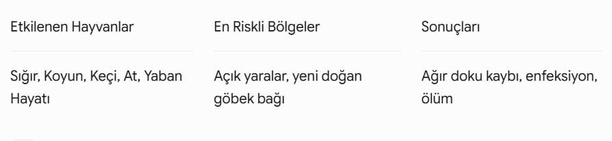 Yeni Dunya Vidali Kurdu