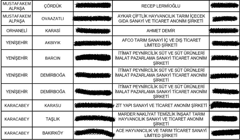 Ari Isletme Iptal Listesi Bursa