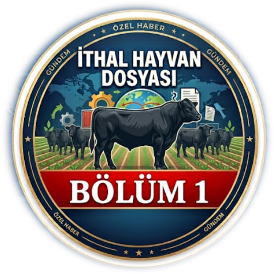Ithal Hayvan Dosyasi 1