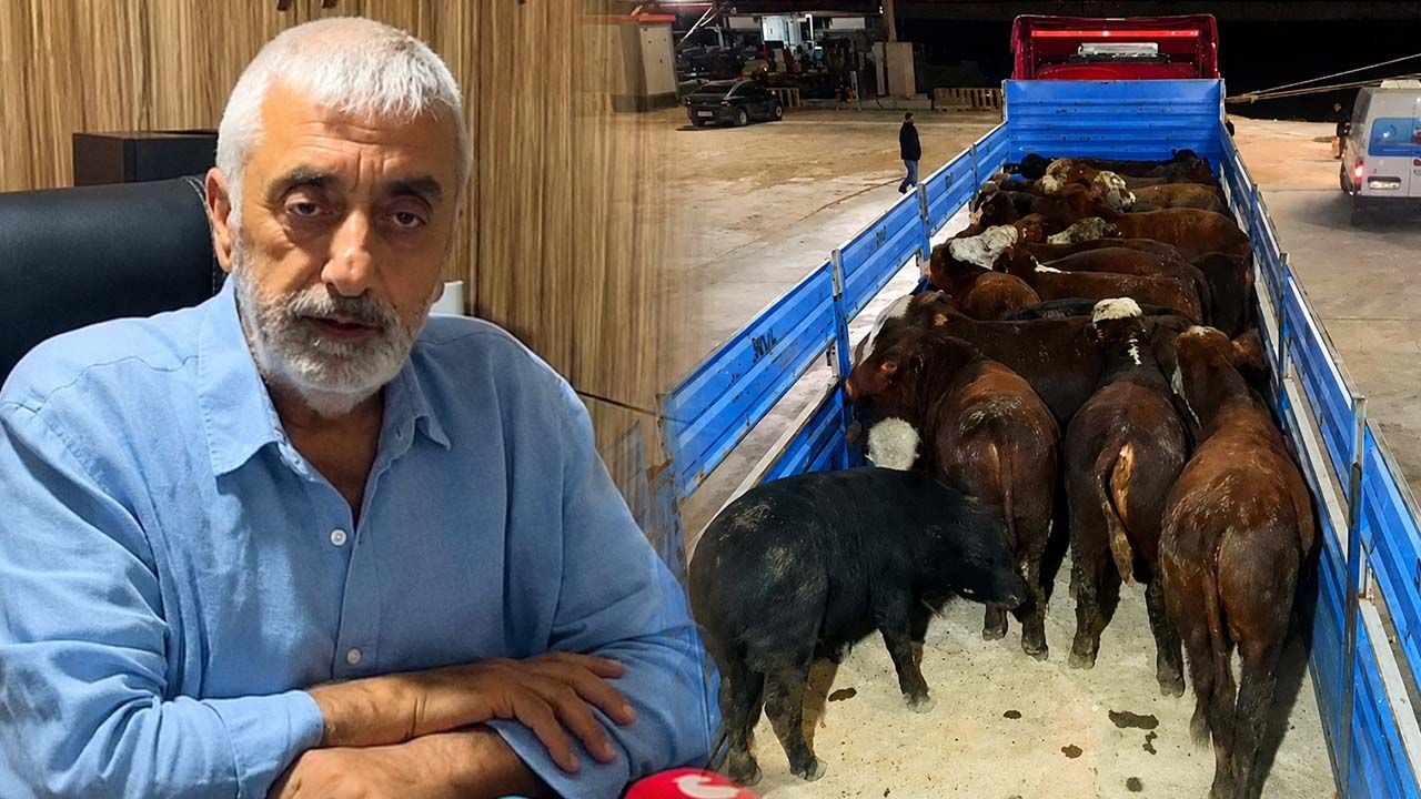 Besiciden ESK'ye dikkat çeken çağrı: İthal hayvanın kilosu 350 TL'ye çekilsin