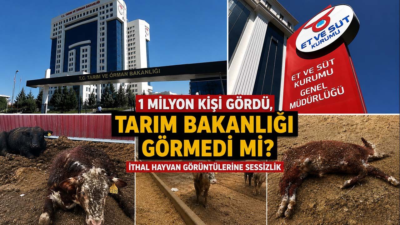 1 milyon kişi gördü, Tarım Bakanlığı görmedi mi? İthal hayvan görüntülerine sessizlik