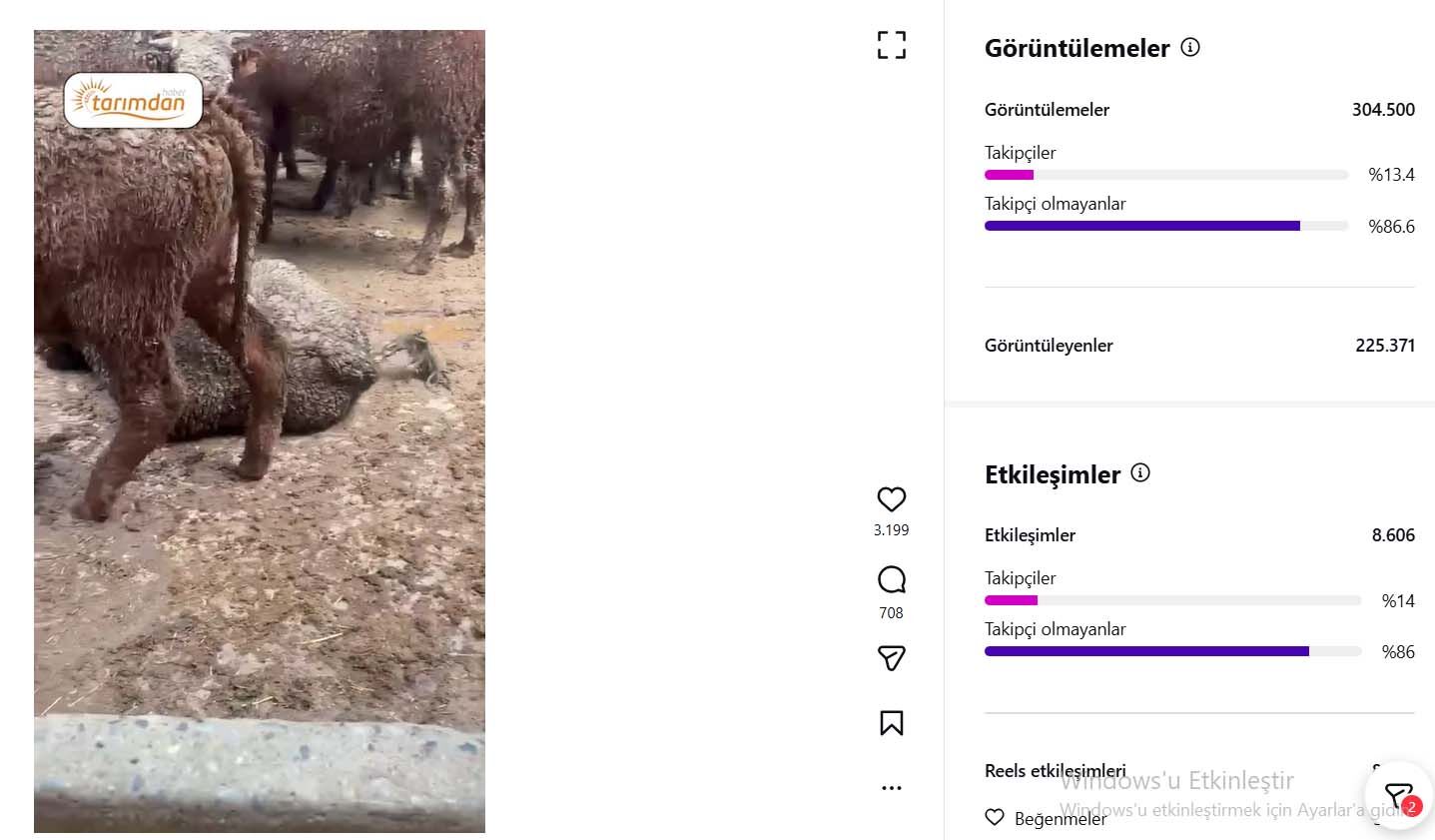 Esk Ithal Hayvanlar Instagram Goruntulenme