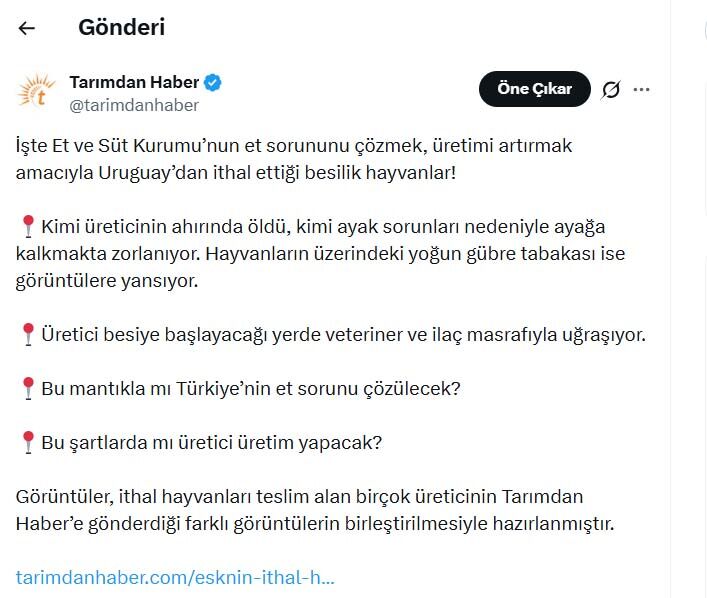 Esk Ithal Hayvanlar Twitter 1 Milyon Goruntulenme