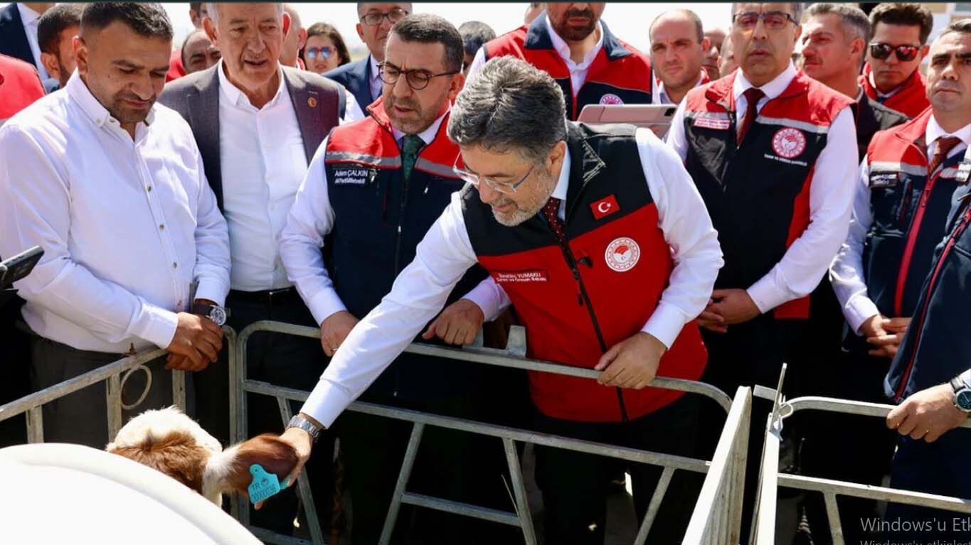 Ibrahim Yumakli Elektronik Kupe Hayvancilik