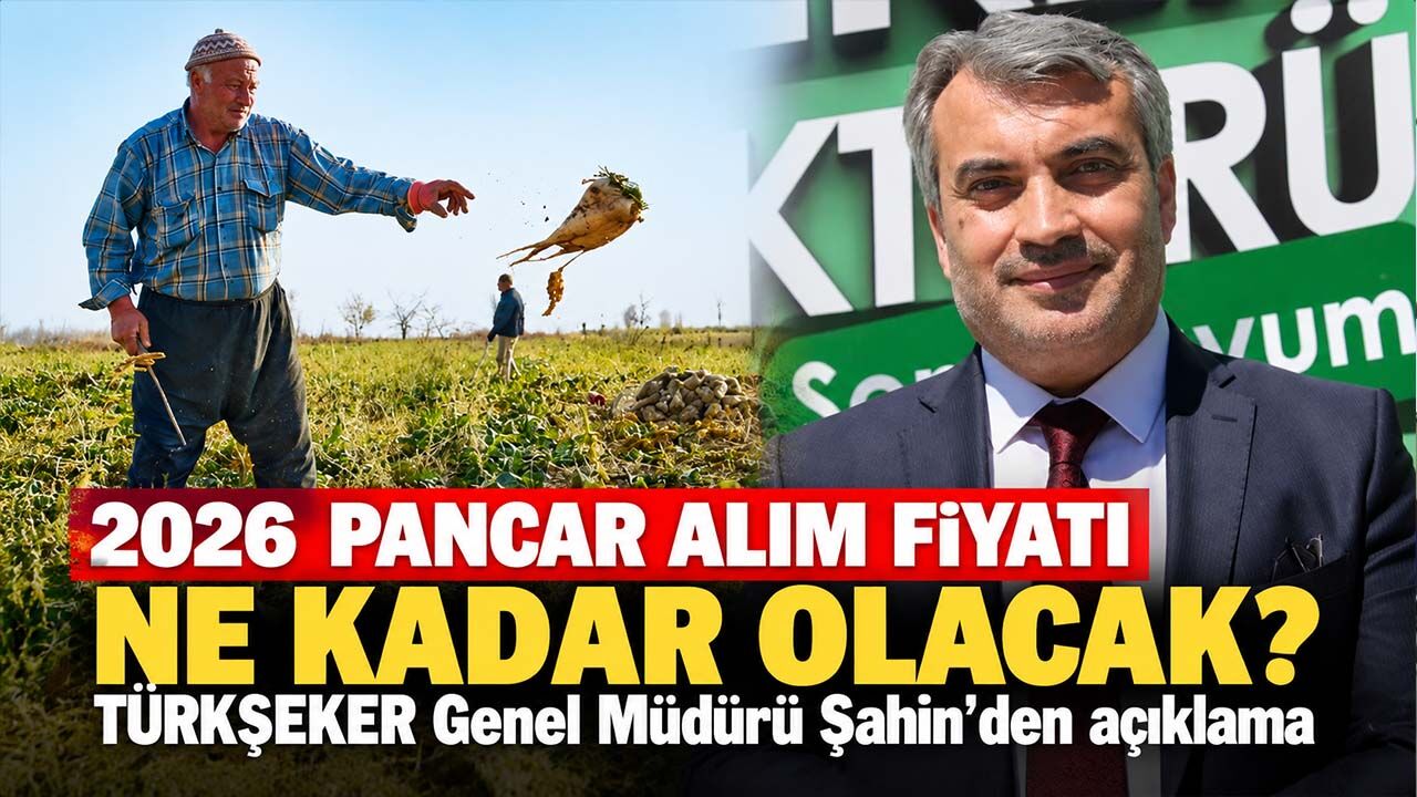 2026 pancar alım fiyatı ne kadar olacak? TÜRKŞEKER Genel Müdürü Şahin'den açıklama