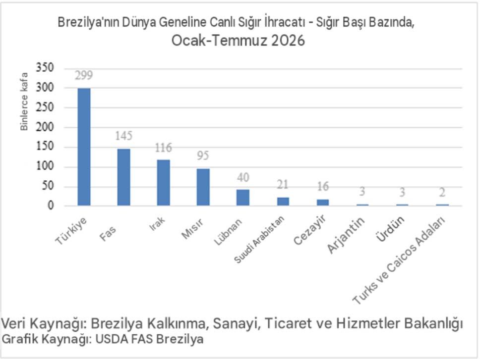 Brezilya Turkiye Sigir Ithalati